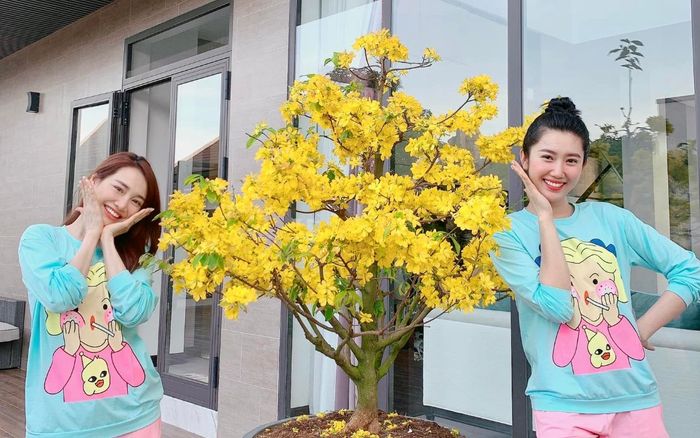 Chụp hình cùng Thúy Ngân, 'gái một con' Nhã Phương kém sắc hơn thấy rõ