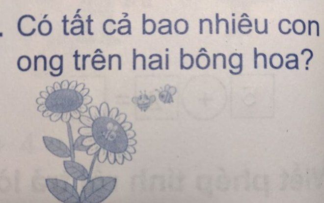Bài toán bị giáo viên gạch sai nhưng dân tình lại khen ngợi học sinh thông minh