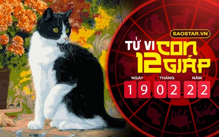 Tử vi hôm nay thứ 7 ngày 19/2/2022 của 12 con giáp: Tý được quý nhân giúp đỡ, Mão bị hung tinh rình rập