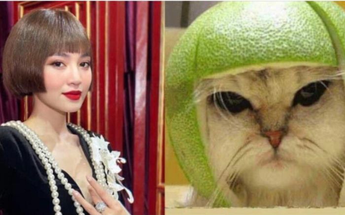 Lan Ngọc chia sẻ kỷ niệm nhưng ai nấy đều phải 'phì cười'