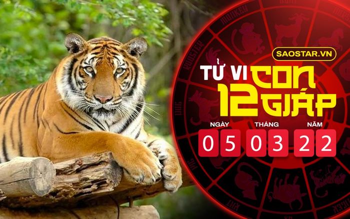 Xem tử vi hôm nay thứ 7 ngày 5/3/3022 của 12 con giáp: Sửu công việc thuận lợi, Dần cẩn thận tiểu nhân