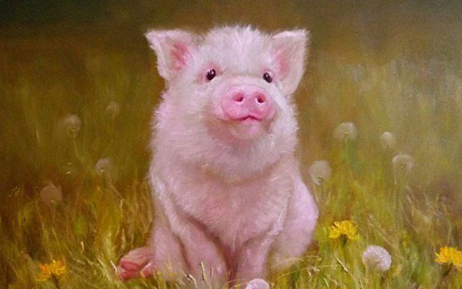 Phụ nữ thuộc 4 con giáp này có số mệnh vượng phu ích tử, càng có tuổi càng may mắn hạnh phúc