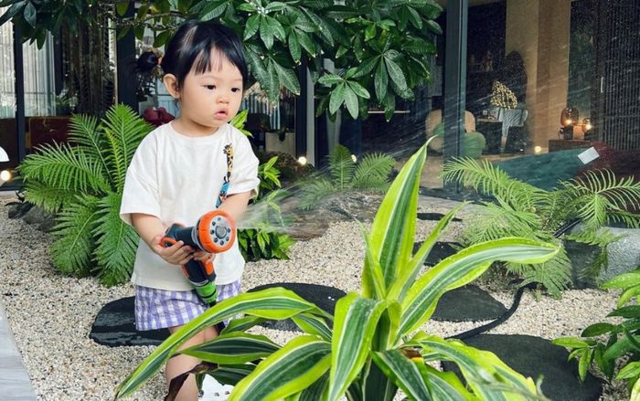 Suchin nhà Cường Đô La từ tấm bé đã chăm làm việc nhà, vô tình tiết lộ không gian 'khủng' trong biệt thự