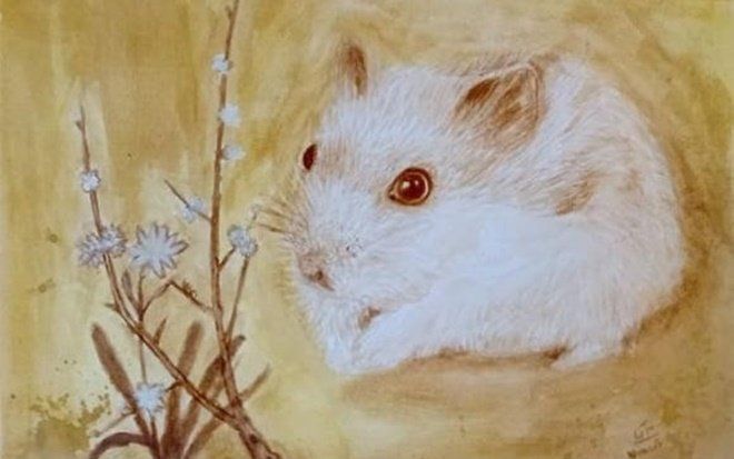 4 con giáp khổ trước sướng sau, càng có tuổi càng vượng tài phát lộc