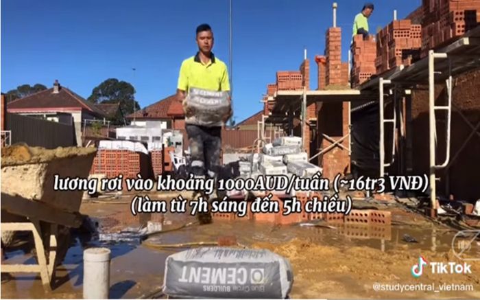 Nam sinh Việt làm phụ hồ ở Úc lương tháng hơn 60 triệu, ngày làm vất vả 10 tiếng, liệu có đáng?