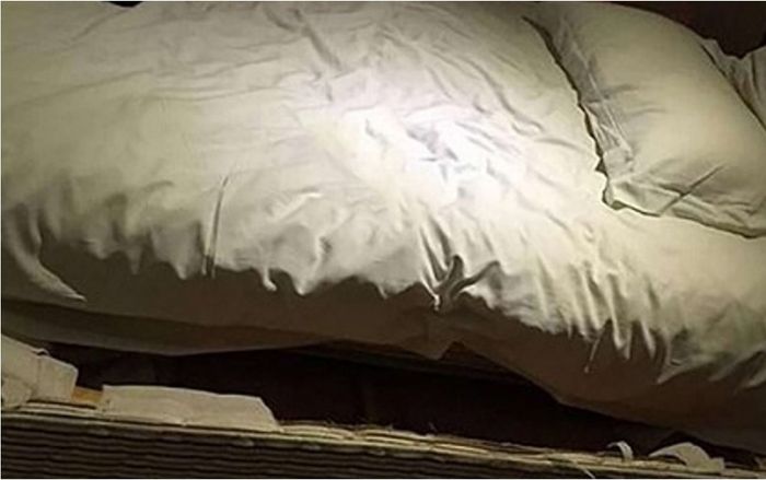 Bực bội vì tiếng động lạ dưới gầm giường, người đàn ông soi đèn pin thì 'tái mặt' trước cảnh tượng