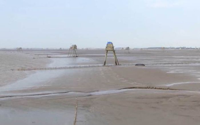 Phát hiện thi thể người đàn ông bị cột tay, trói vào tảng đá ở bãi nuôi ngao