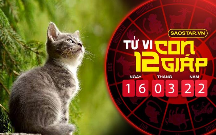 Tử vi hôm nay thứ 4 ngày 16/3/2022 của 12 con giáp: Mão cẩn thận mất của hao tài