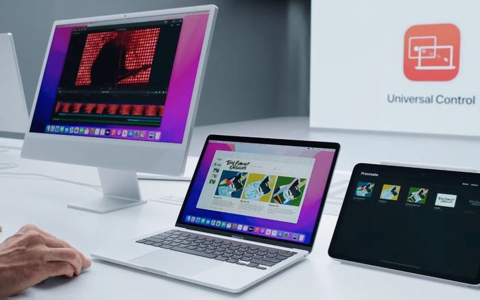 Cách thiết lập và sử dụng tính năng Universal Control trên máy Mac và iPad
