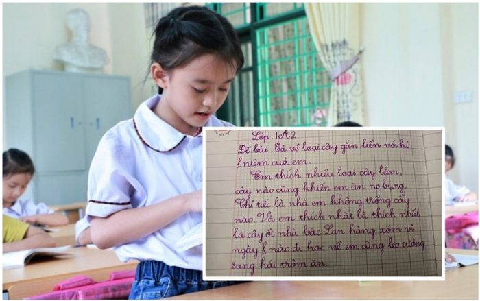 Hái trộm ổi nhà hàng xóm và giấu giếm bấy lâu, đến khi viết văn bé gái lại hồn nhiên kể sạch sành sanh