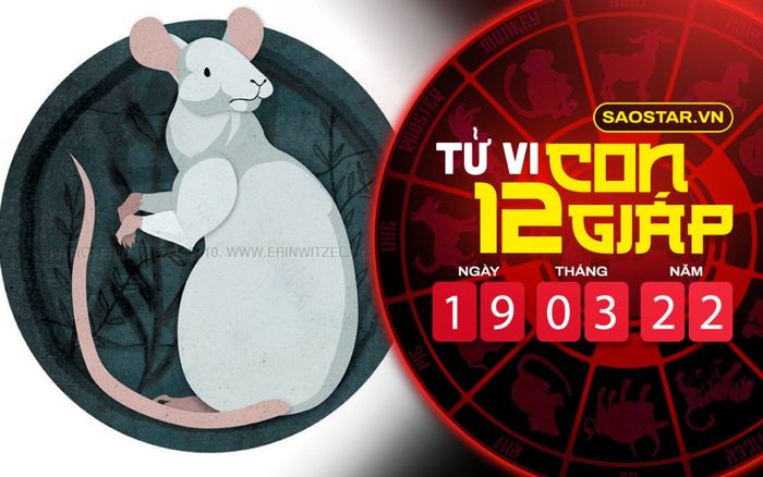 Tử vi hôm nay thứ 7 ngày 19/3/2022 của 12 con giáp: Tý cẩn thận thị phi đeo bám