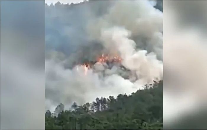 Máy bay chở 132 người rơi ở Trung Quốc, hiện trường đầy khói bốc cháy dữ dội