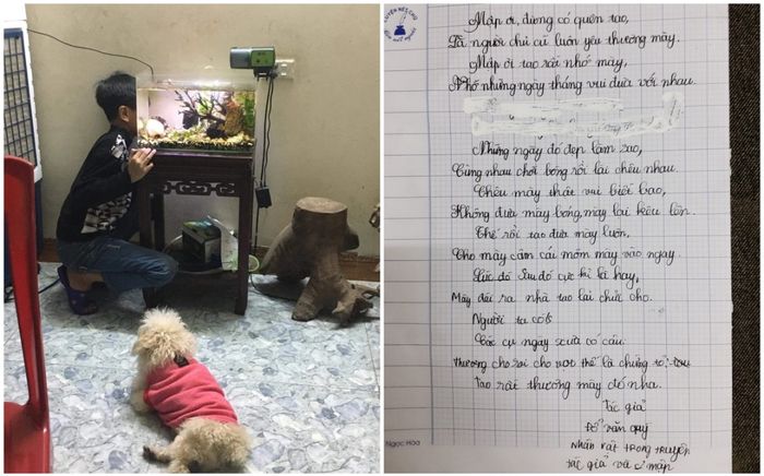 Cậu bé gây 'bão mạng' với bài thơ tạm biệt chó cưng, đoạn cuối khiến netizen cười xỉu