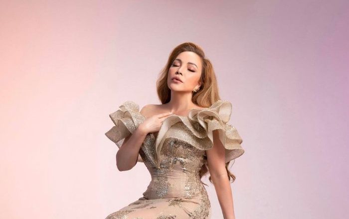 Hành trình thay đổi nhan sắc được cho là 'lão hóa ngược' của ca sĩ Thanh Hà