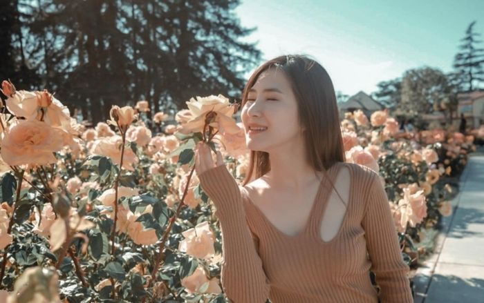 Sao Việt từ bỏ hào quang để ra nước ngoài định cư: Người chạm đỉnh vinh quang, người chật vật mưu sinh