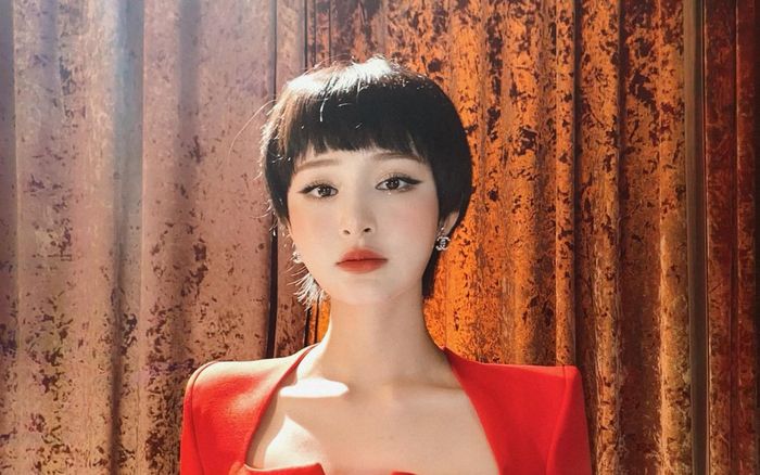 Sau khi xin lỗi công chúng, Hiền Hồ sẽ làm gì tiếp theo?