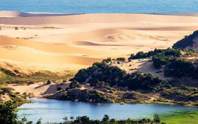 Khám phá vẻ hoang sơ đầy 'ma mị' của Mũi Đinh Ninh Thuận: Đêm thức với 'biển bạc đầu', sáng ngắm sắc vàng