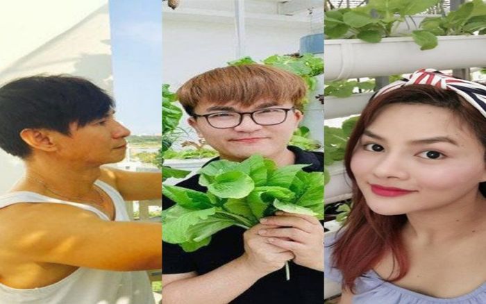 Sao Việt sở hữu vườn rau thủy canh độc đáo