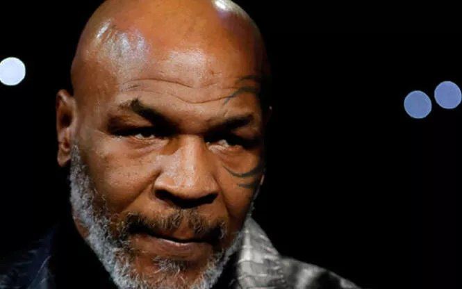 'Việc quấy rối Mike Tyson như húc đầu vào tổ ong vậy'