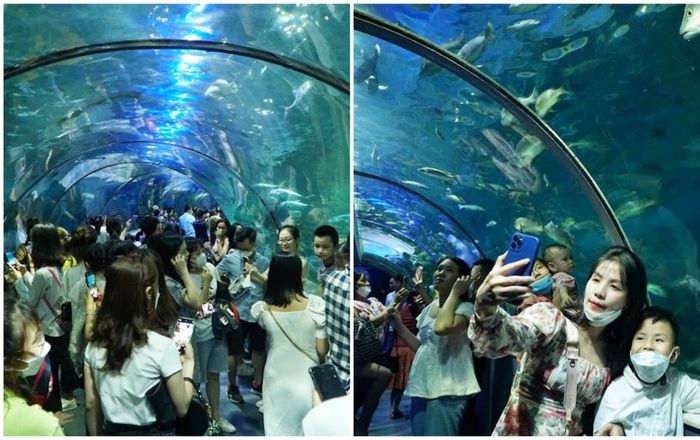 Ảnh: Hàng vạn người đổ về vui chơi tại thủy cung lớn nhất cả nước trong dịp nghỉ lễ