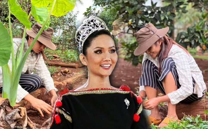 Góc tự hào, H'Hen Niê gác lại danh hiệu Top 5 Hoàn vũ, về quê hóa thôn nữ trồng rau cùng buôn làng