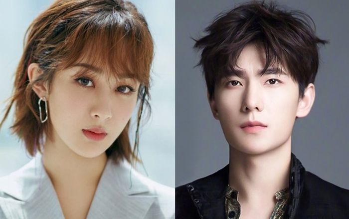 So kèo sự nghiệp diễn xuất của sao Cbiz họ Dương: Dương Tử quá đỉnh, Dương Dương mãi không thoát mác đơ?