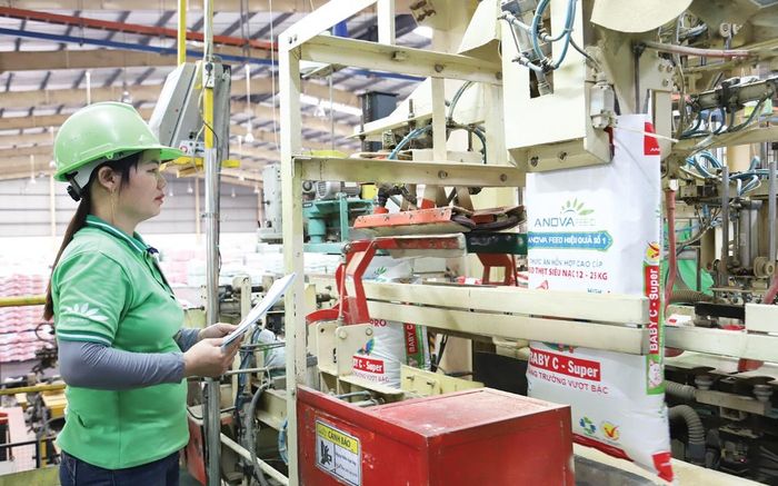 Doanh nghiệp Việt hồi sinh, nguồn lực sẽ tăng mạnh