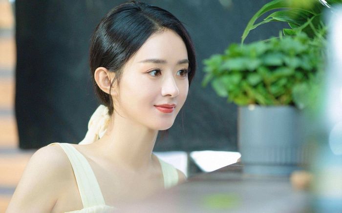 Triệu Lệ Dĩnh bị người qua đường quấy rối khi đang đi mua sắm tại trung tâm thương mại