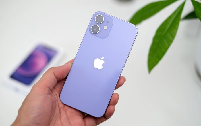 iPhone 12 trong nước giảm mạnh gần 4 triệu đồng, có nên sở hữu 1 chiếc?