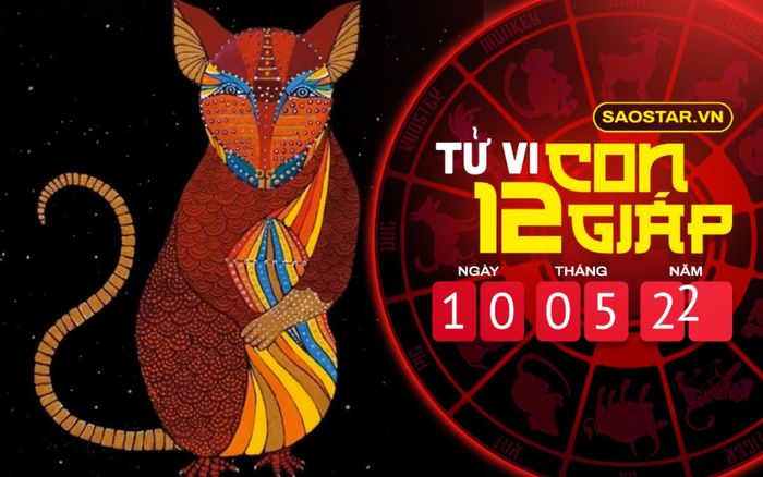 Tử vi hôm nay thứ 3 ngày 10/5/2022 của 12 con giáp: Một ngày khó khăn của tuổi Tý