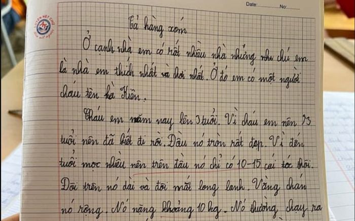 Bài văn tả về hàng xóm chân thật 'đầu chỉ có 10 - 15 cái tóc' khiến ai cũng phải bật cười