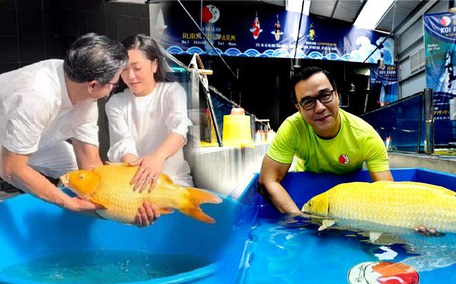'Vua cá koi' chất vấn dân mạng: 'Chúng ta đâu phải động vật tại sao phải chạy hùa theo bầy'