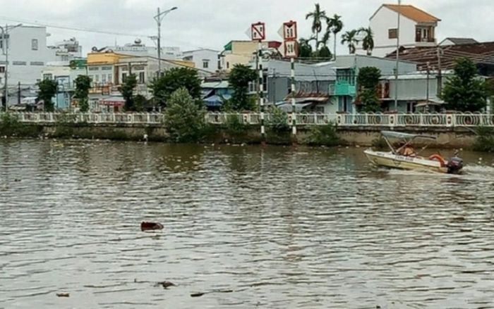 Anh trai 4 tuổi nhảy xuống sông cứu em gái 2 tuổi nhưng không thành