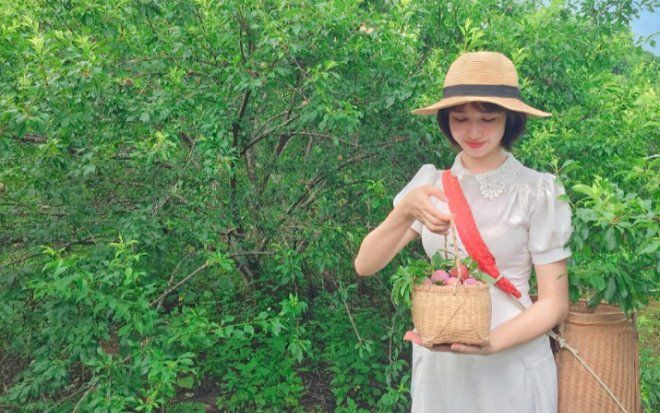 Mộc Châu những ngày tháng 5 - rộn ràng đón lễ hội hái mận 'lớn nhất Vịnh Bắc Bộ