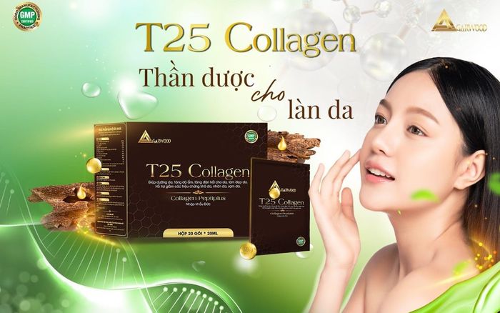 Sự thật bất ngờ về T25 Collagen thủy phân mà chị em chưa biết!