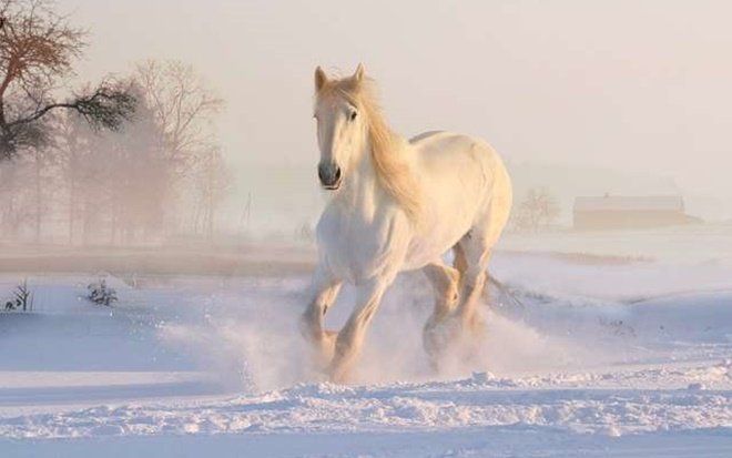 4 con giáp vận trình lao dốc, gặp nhiều khó khăn bế tắc trong 6 tháng cuối năm 2022