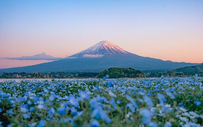 Ngắm nhìn vẻ đẹp của ngọn núi được xem là biểu tượng linh thiêng bậc nhất Nhật Bản