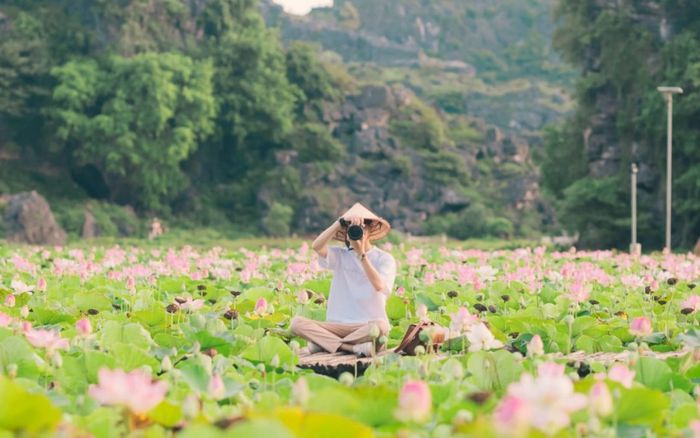 Mùa sen nở ở Hang Múa đẹp như tiên cảnh chốn nhân gian