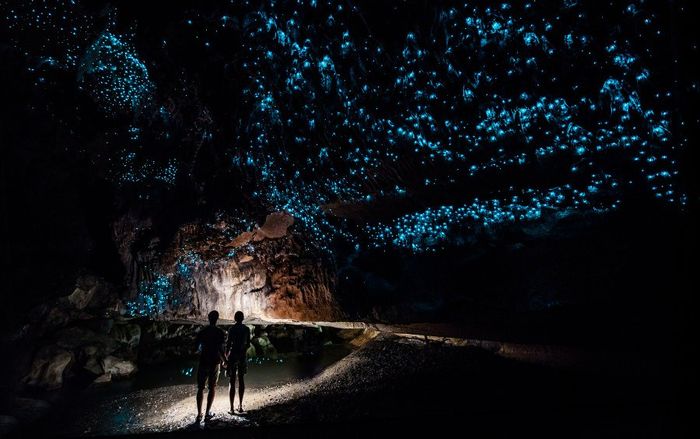 Mãn nhãn với bầu trời sao dưới lòng đất