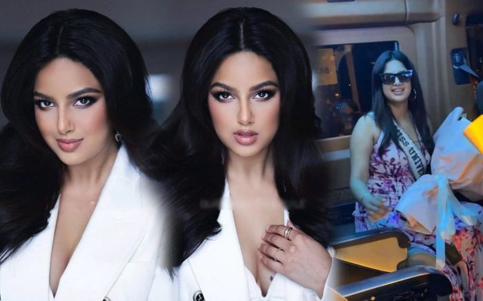 Ngày đầu của Harnaaz Sandhu tại Việt Nam: Ảnh trên hình thế nào mà trông khác xa ngoài đời?