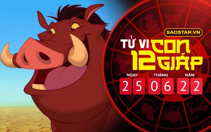 Tử vi hôm nay thứ 7 ngày 25/6/2022 của 12 con giáp: Hợi cần bình tĩnh trước tranh chấp thị phi