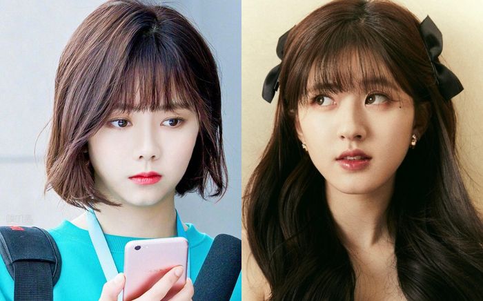 Đàm Tùng Vận và Dương Tử được công chúng kỳ vọng sẽ thế vai Tang Trĩ của Triệu Lộ Tư?