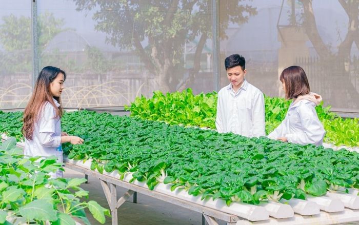 Tốt nghiệp ngành Nông học, ra trường có phải lội ruộng hay không?