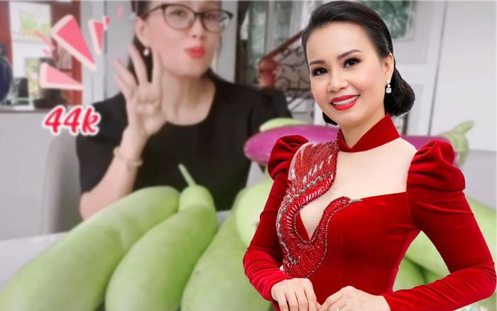 Cẩm Ly đổi nghề bán rau củ online, tự tay 'chế lời' bài hát của mình để 'chốt đơn' nhanh-gọn-lẹ!