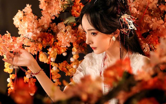 Sau chấn thương ở mắt, Dương Mịch quyết định rút khỏi Hồ Yêu Tiểu Hồng Nương?