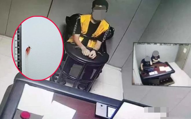 Chuyện thật như đùa: Nhờ xác con muỗi dính trên tường, cảnh sát tìm ra danh tính thủ phạm