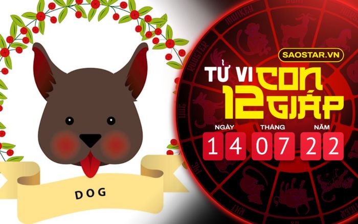 Tử vi hôm nay thứ 5 ngày 14/7/2022 của 12 con giáp: Tuất nên chuẩn bị tâm lý vững vàng