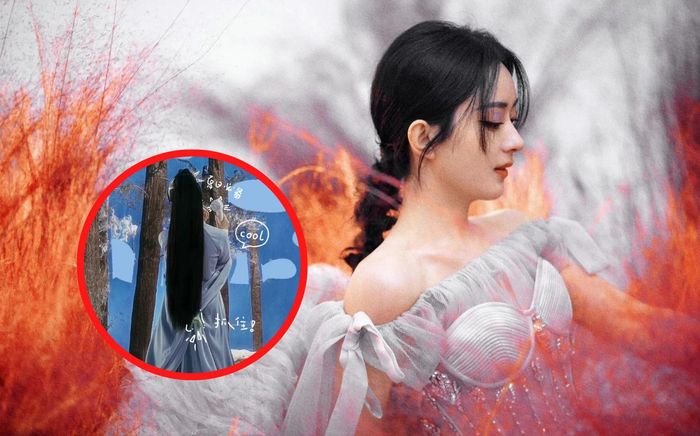 Bóng lưng của Triệu Lệ Dĩnh gây sốt nhưng bất ngờ bị khán giả so sánh với Dương Mịch
