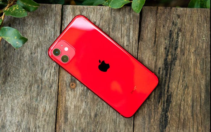 Săn ngay iPhone 11: Máy chạy mượt, giá 'cực mềm'