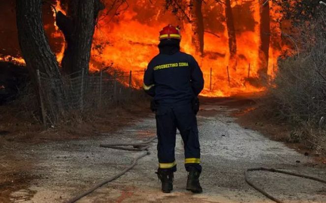 Cháy rừng, nắng nóng tiếp diễn ở nhiều nơi